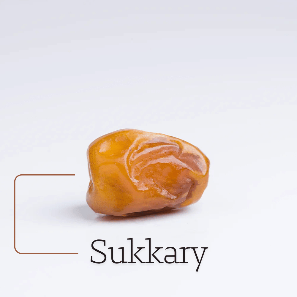 Proefpakket van alle dadels